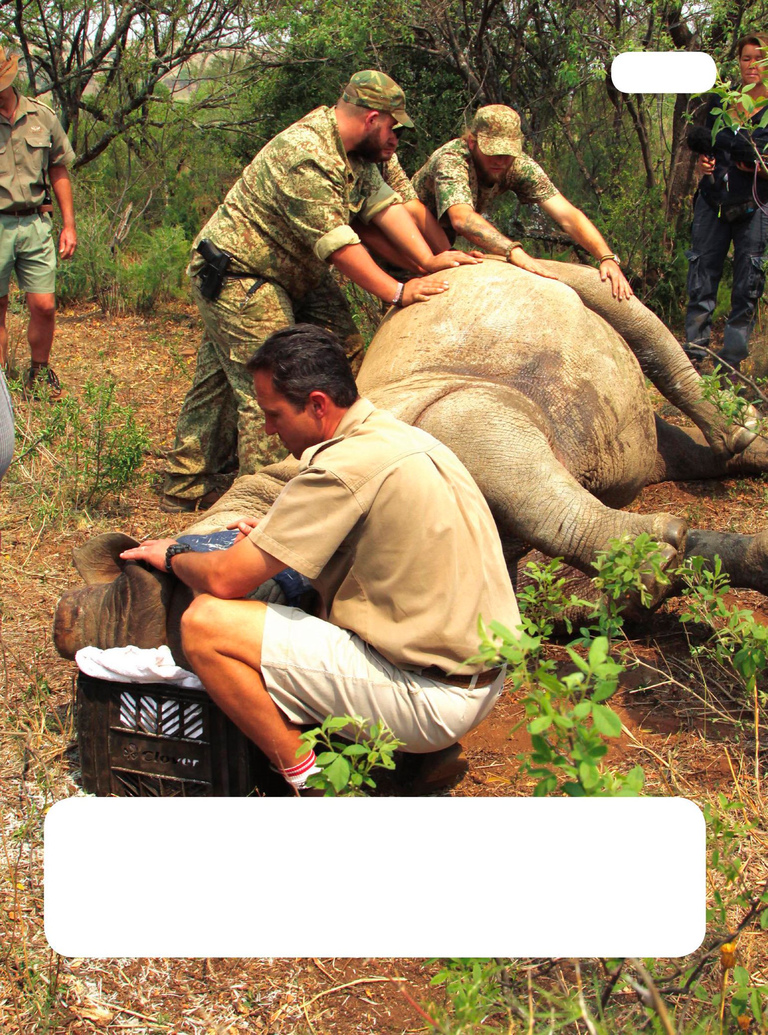 In some places there are rangers who look after wild animals They work in - photo 7