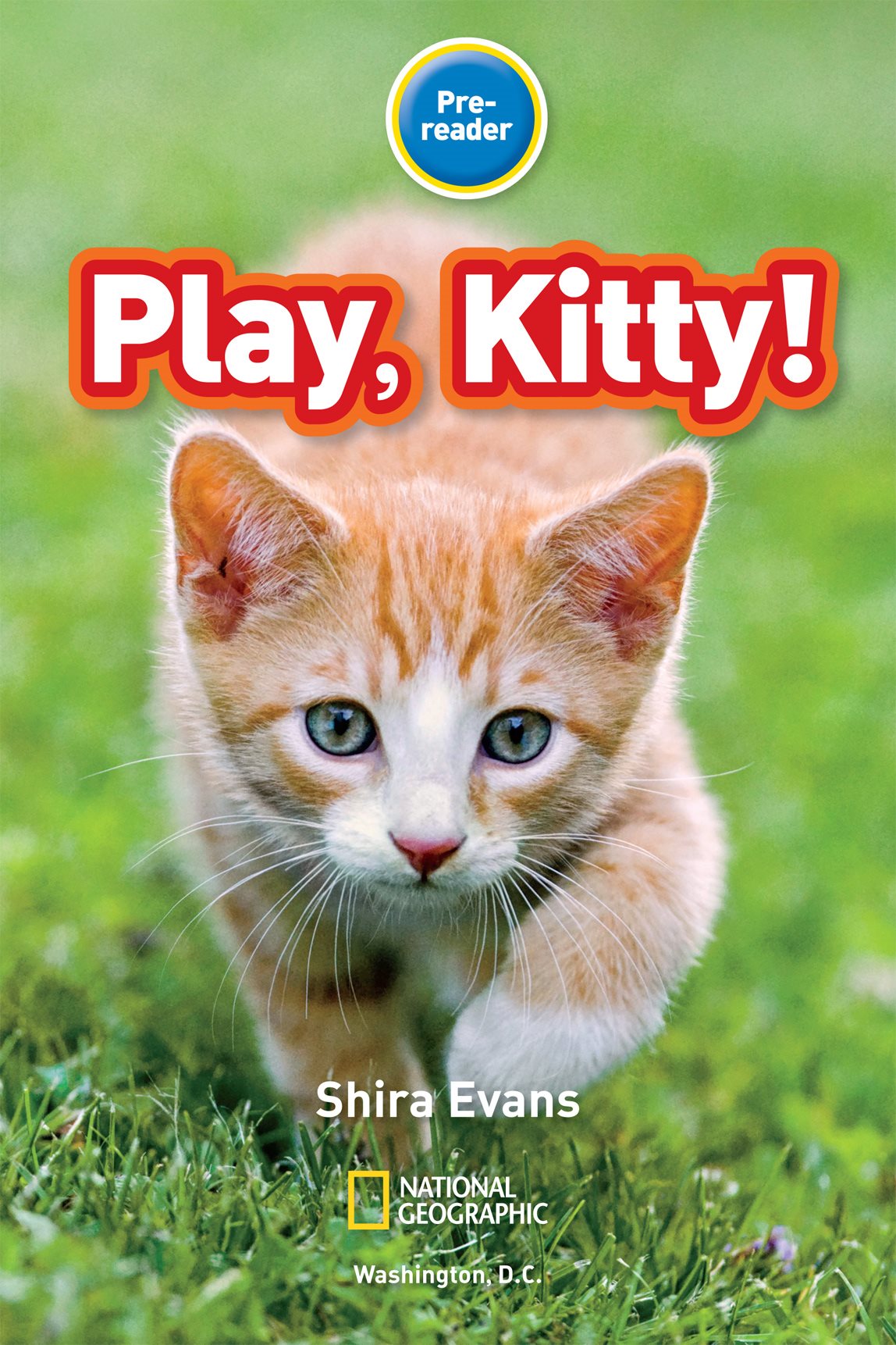 Vocabulary Tree ANIMALS CATS WHAT THEY DO play run swing stretch climb - photo 3