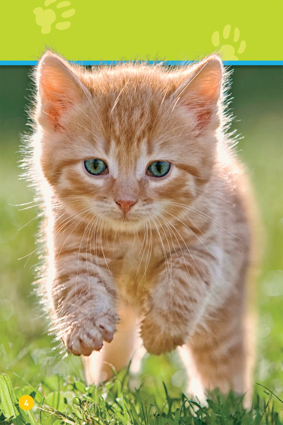 Run kitty Swing Stretch - photo 6