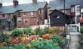 Even the smallest of backyards in an urban area can still be a riot of colour - photo 3