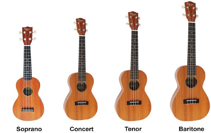 The Uke n Roll Method book can be used for soprano concert or tenor - photo 9