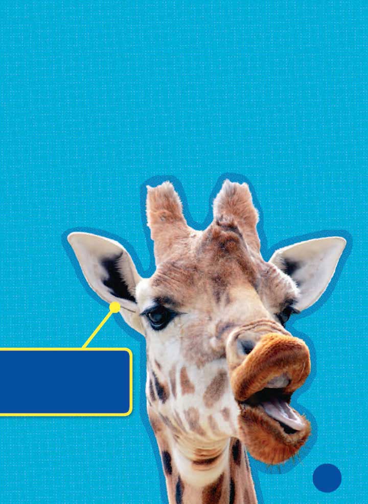 Giraffes seem quiet But they make many different sounds They grunt or - photo 13