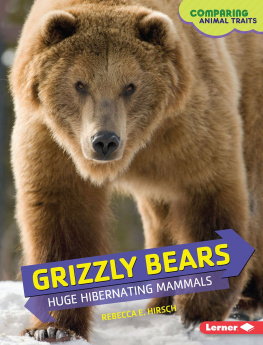 Rebecca E. Hirsch Grizzly Bears: Huge Hibernating Mammals