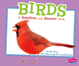 Isabel Martin - Birds: A Question and Answer Book