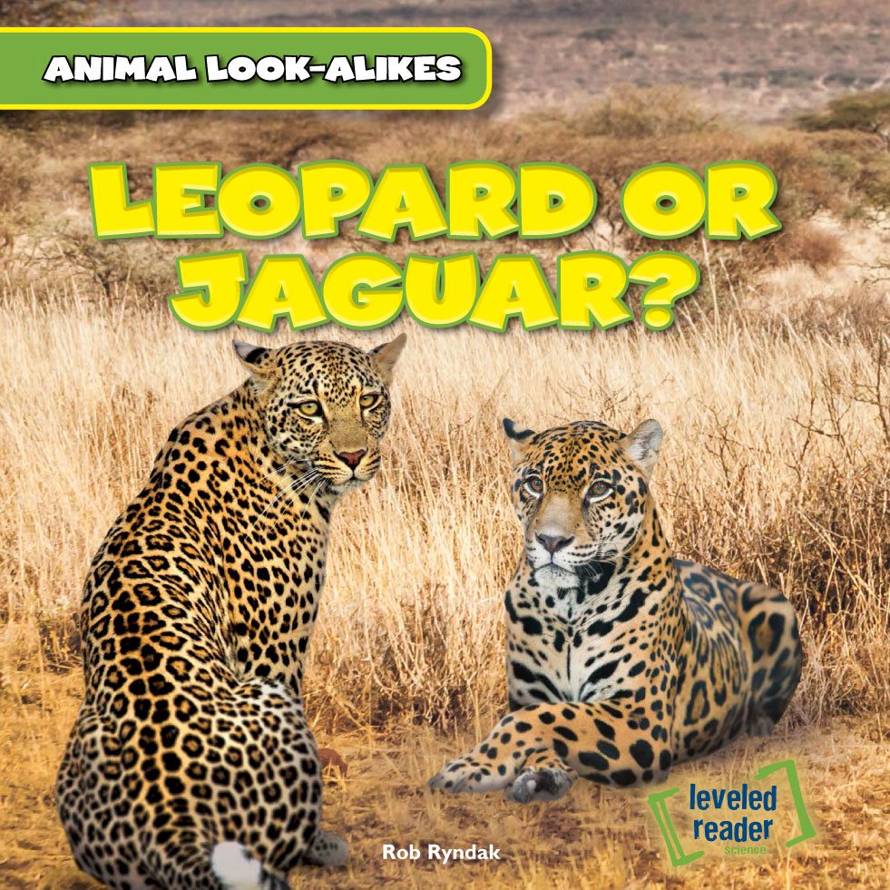 ANIMAL LOOK-ALIKES LEOPARD OR JAGUAR leveled reader science Rob Ryndak - photo 1