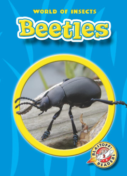 Colleen Sexton Beetles