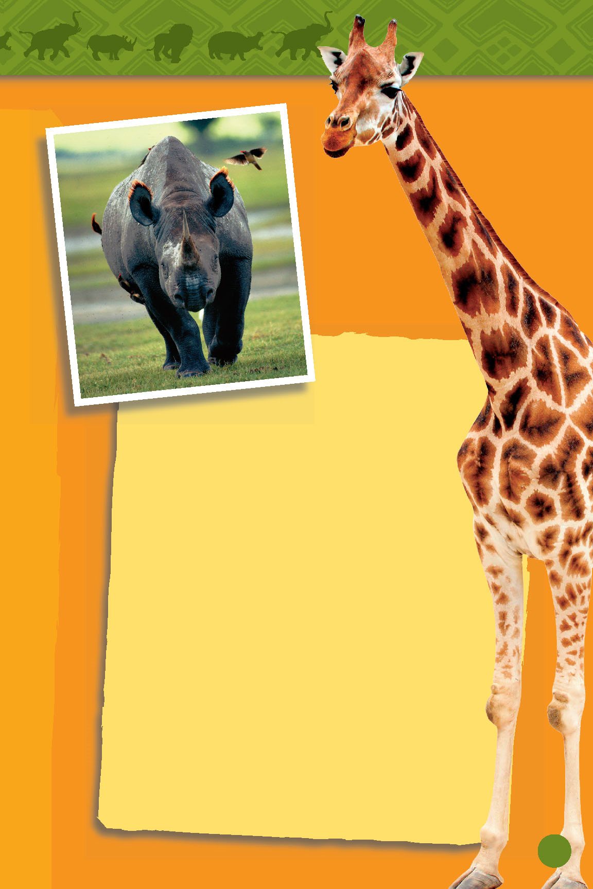 Hippos soak Zebras graze Giraffes eat Rhinos run Lions play Elephants - photo 24
