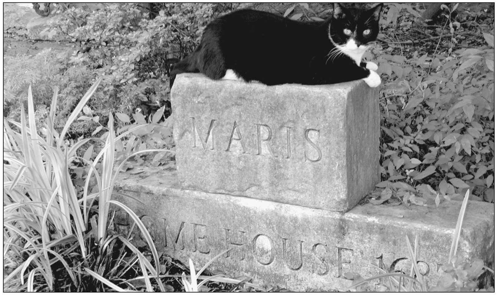 The Maris Home House marker dated 1683 was removed from the Maris homestead - photo 9