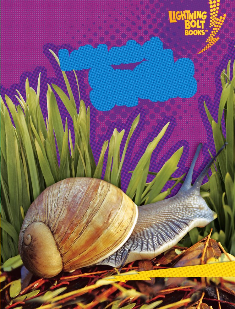 Lets Look at Snails - image 1