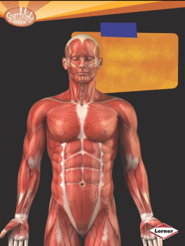 Rebecca L. Johnson - Your Muscular System