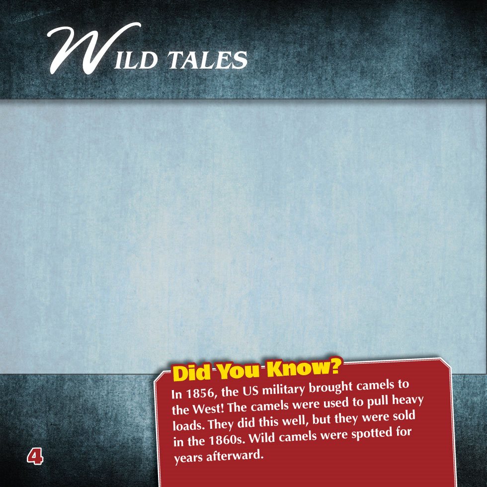 W ILD TALES What do you think of when you hear the words Wild West You - photo 6