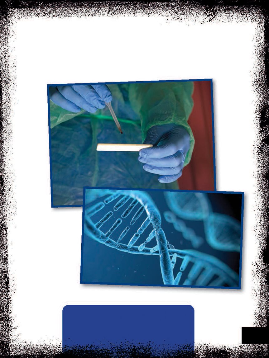 DNA is a type of evidence that can be collected DNA material in cells that - photo 9