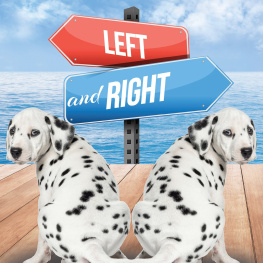 Taylor Farley - Left and Right