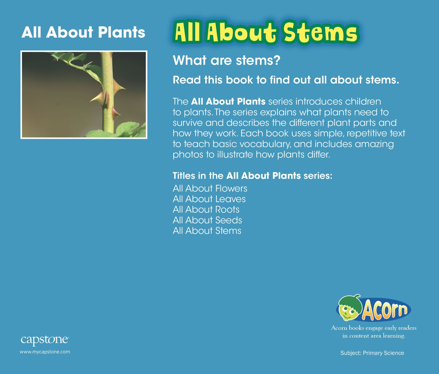 All about Stems - photo 28