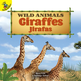 Barry Cole - Giraffes: Jirafas
