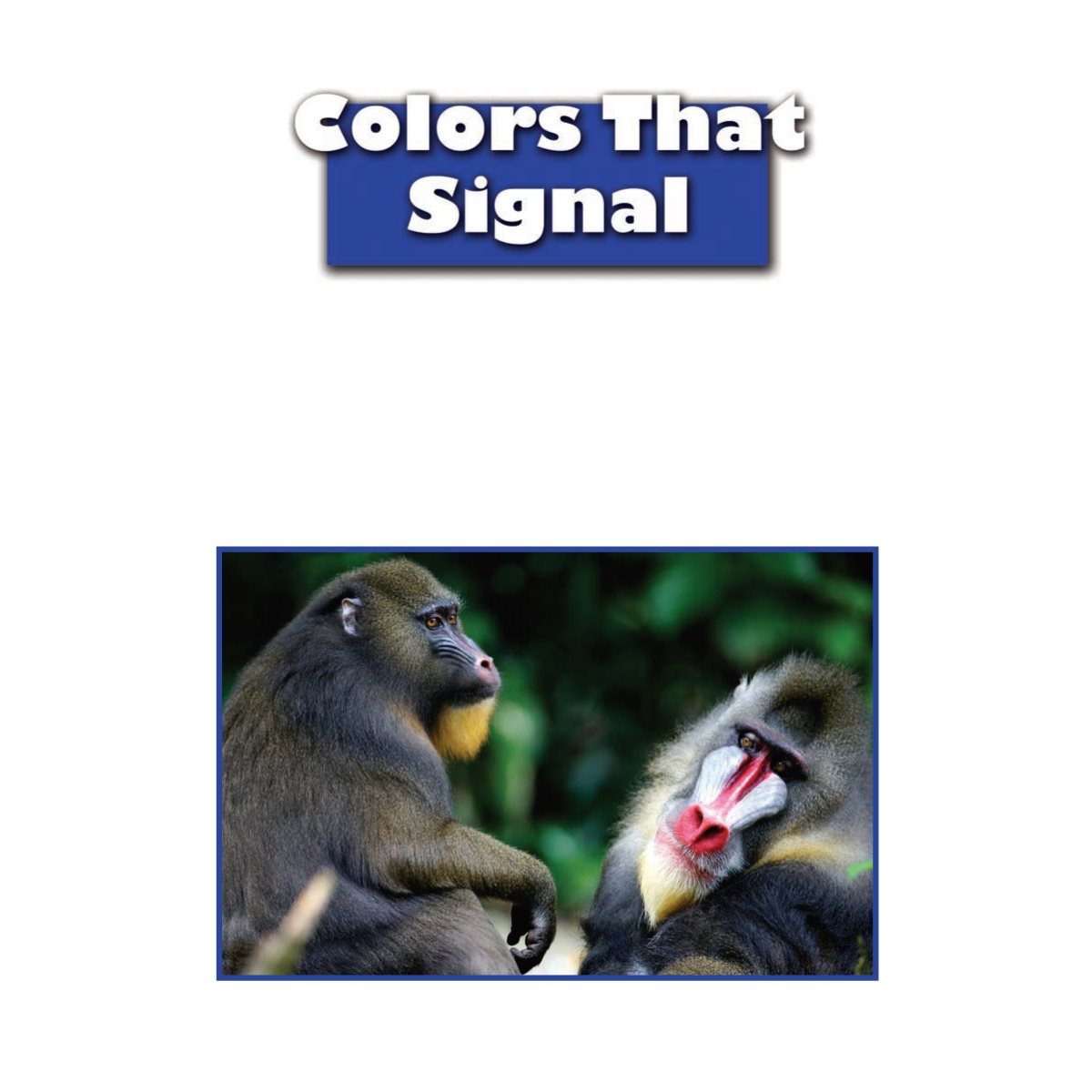 Some animal colors can show mood changes They can also help animals find each - photo 16