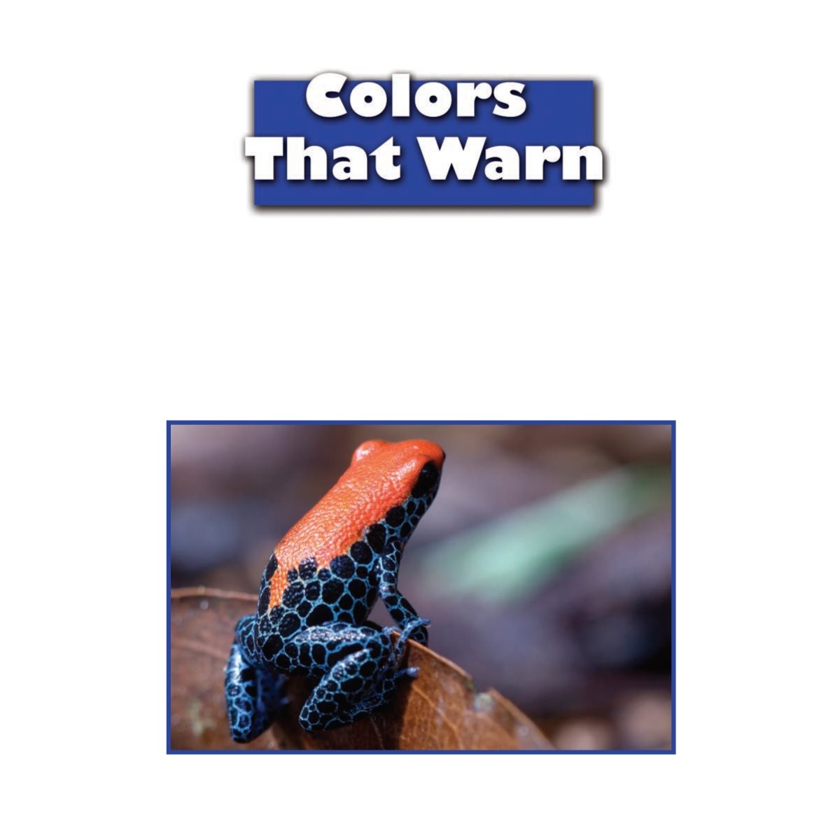 Certain kinds of animals have bright colors to warn other animals to stay away - photo 22