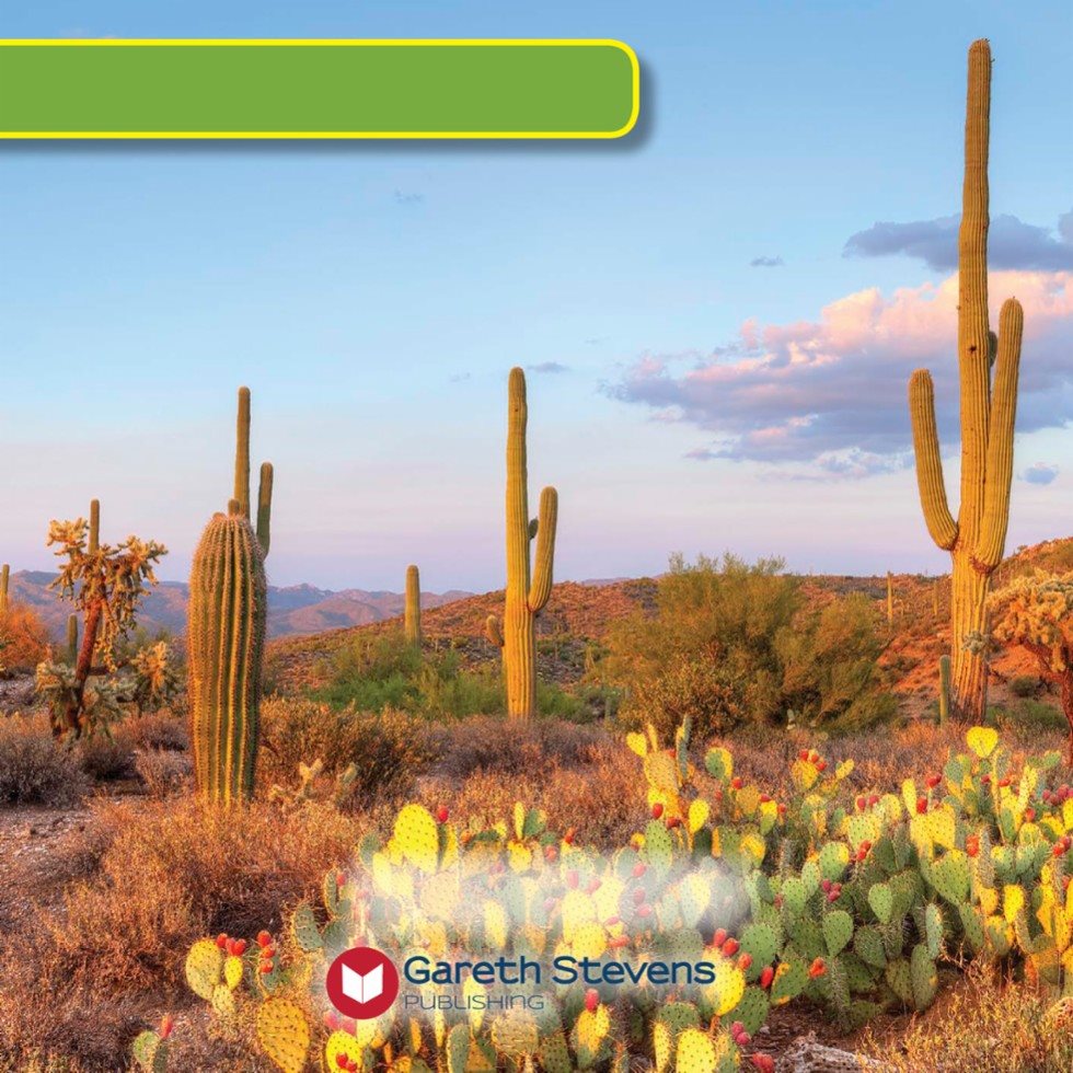 Backyard Biomes Theres A DESERT in My Backyard By Walter LaPlante - photo 3