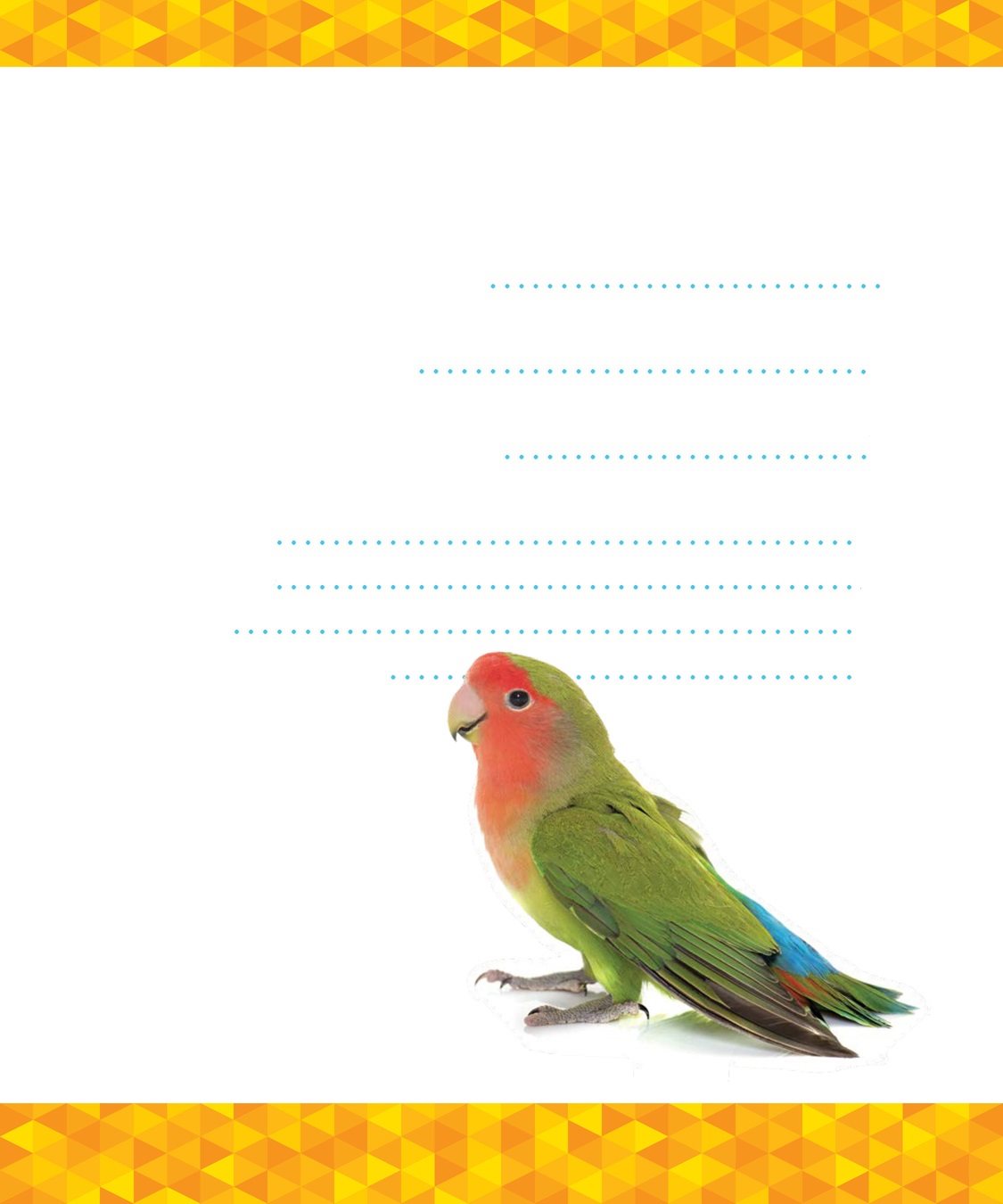 TABLE OF CONTENTS CHAPTER BIRDS OF MANY COLORS What bird comes in - photo 3