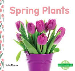 Julie Murray Spring Plants