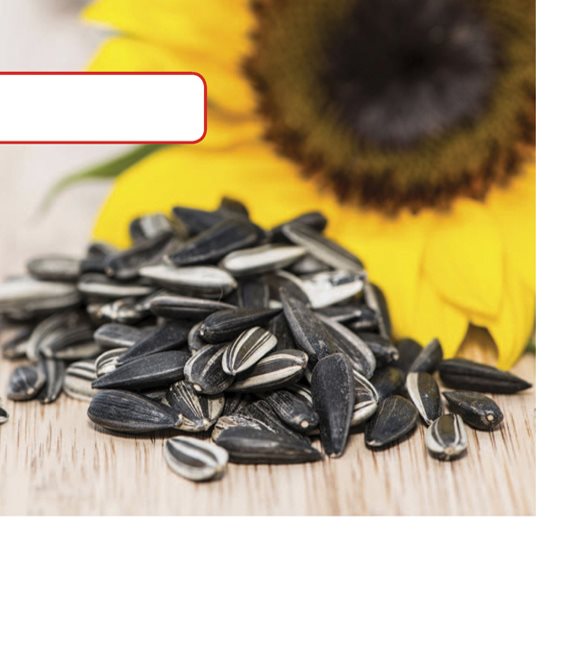 These seeds came from a sunflower What do all these parts do They make - photo 14