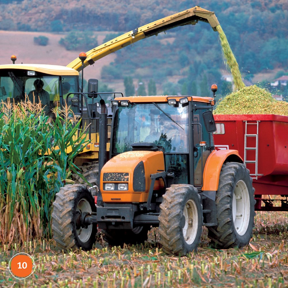 Farmers harvest their crops They gather corn and other foods from fields - photo 10