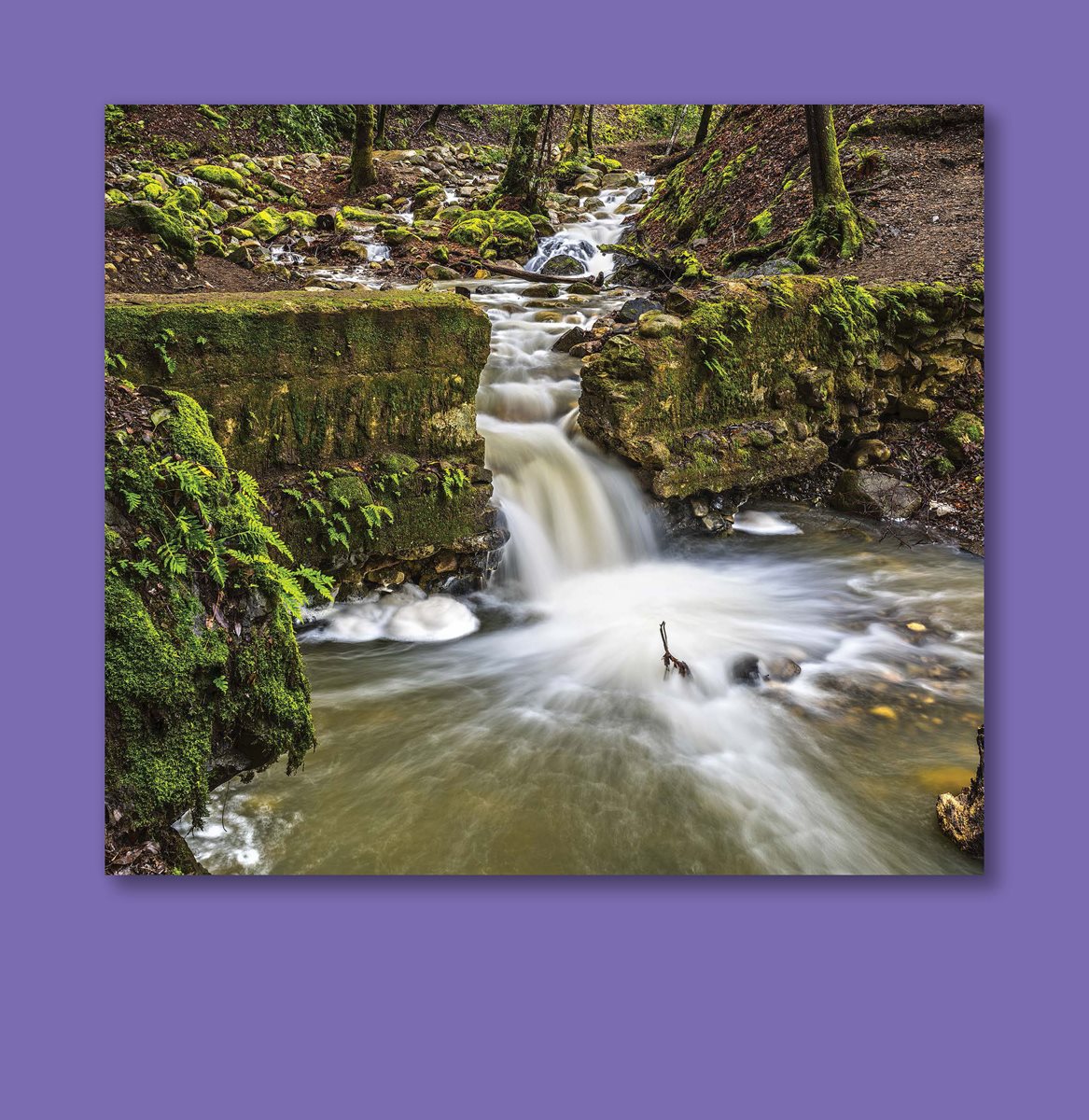 Broken dams follow the force of water How Do Buttresses Push Back on - photo 10