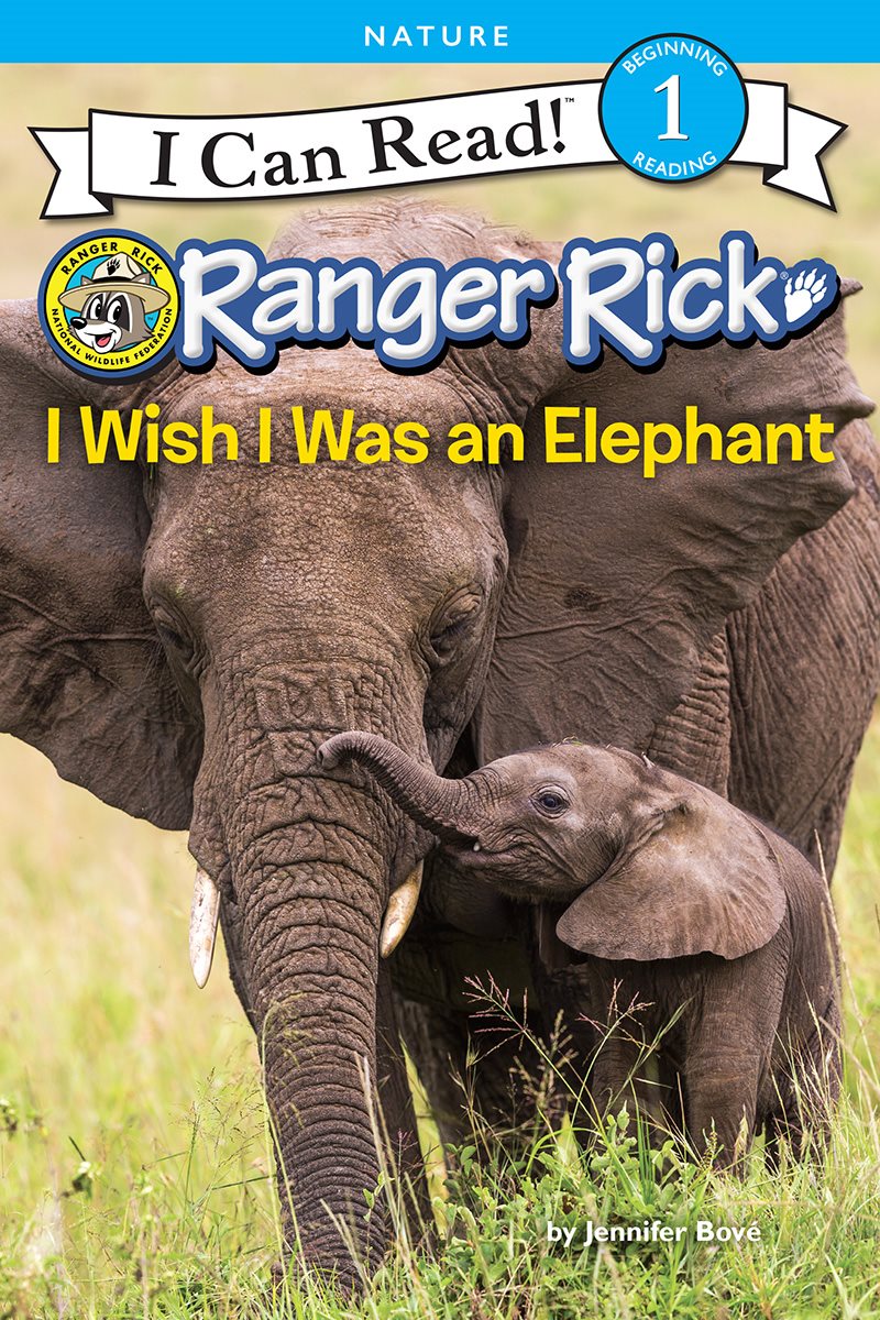 I Wish I Was an Elephant - photo 1