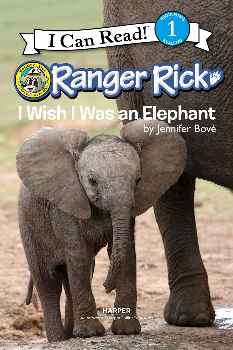 What if you wished you were an elephant Then you became one Could you - photo 4