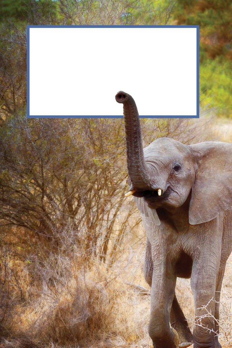 How would you talk Elephants make many sounds They can trumpet loudly to - photo 19