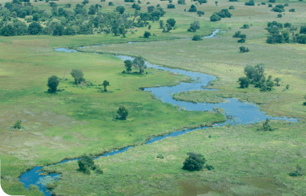 The Okavango Delta offers open floodplains termite-mound islands and water - photo 9