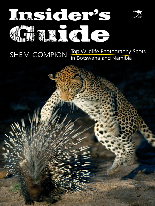 Insiders Guide Top Wildlife Photography Spots in Botswana and Namibia - image 1