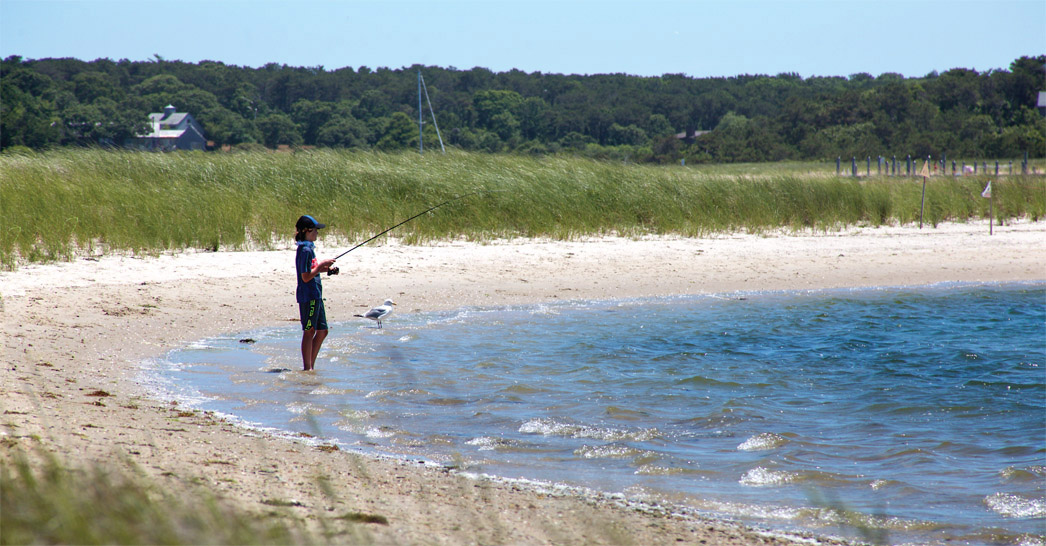 On the beach next to the lighthouse a person and a gull are equally interested - photo 14