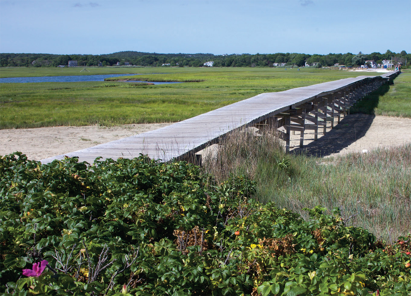 At over a thousand feet long the Sandwich Boardwalk is a fun stroll that leads - photo 19