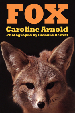 Caroline Arnold - Fox