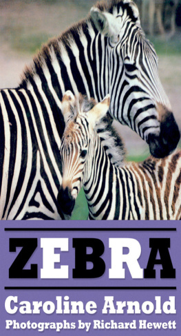 Caroline Arnold Zebra