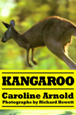 Caroline Arnold - Kangaroo