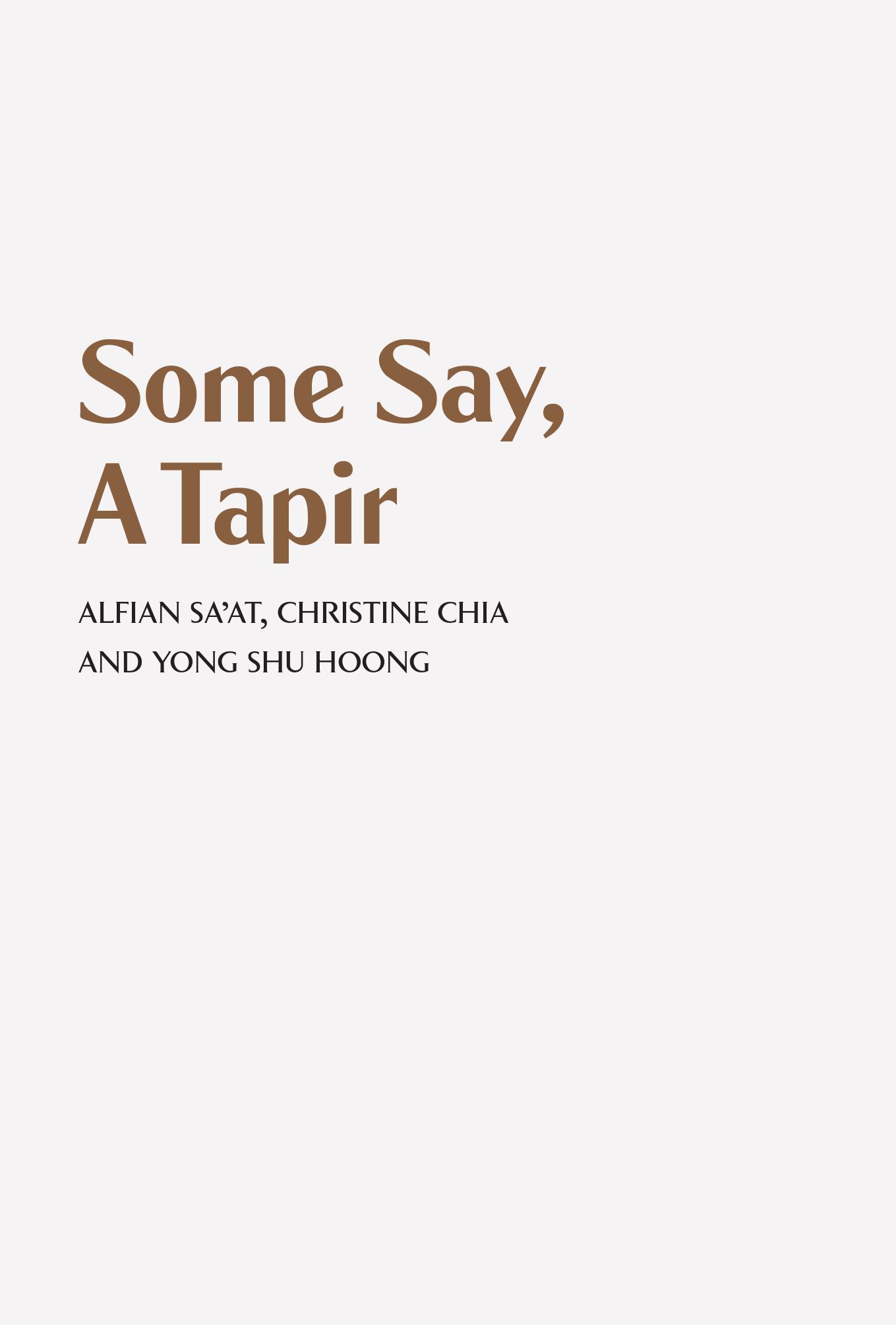 Some Say A Tapir Featuring new work from Alfian Saat Christine Chia and Yong - photo 2