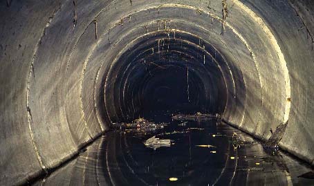 div classboxgtFascinating Career Facts A sewer is a very smelly place to - photo 5