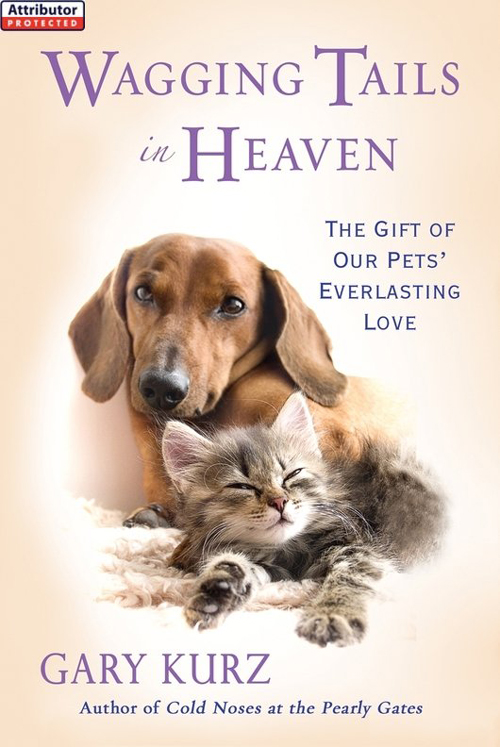 W AGGING T AILS in H EAVEN The Gift of Our Pets Everlasting Love - photo 1