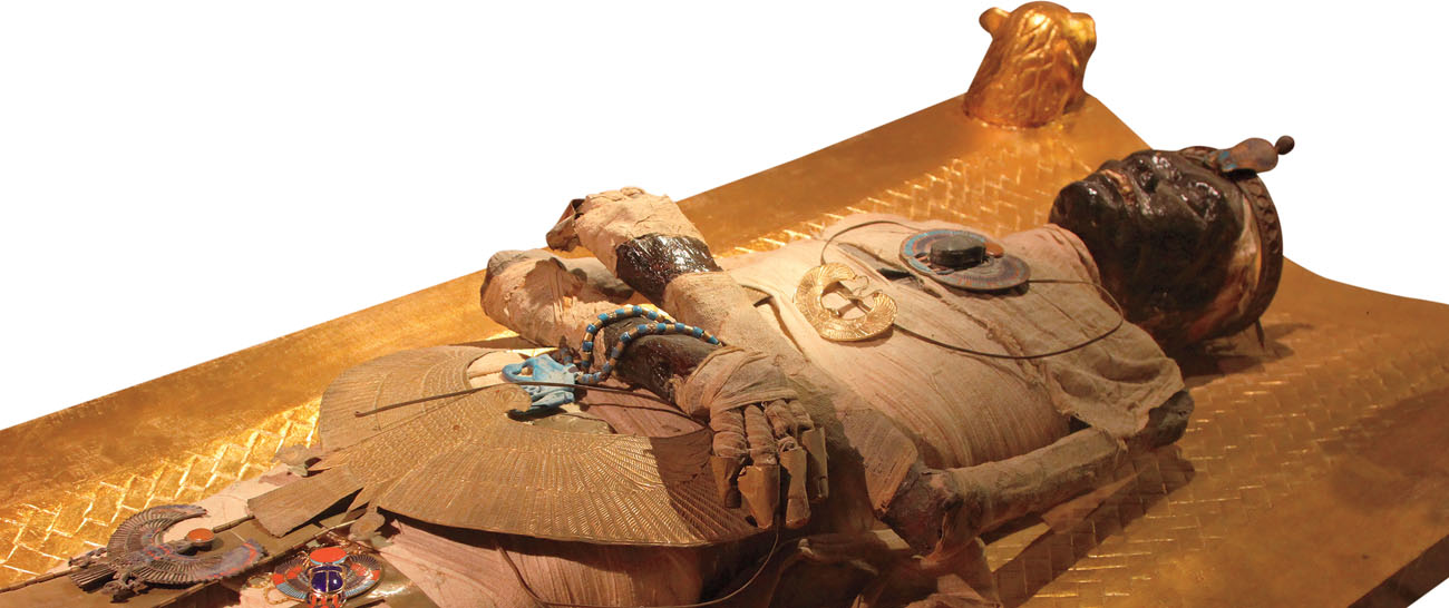 Tuberculosis has been found in ancient Egyptian mummies CONTAGIOUS OR NOT - photo 8