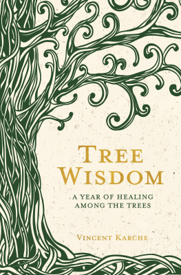 Vincent Karche Tree Wisdom: A Year of Healing Among the Trees