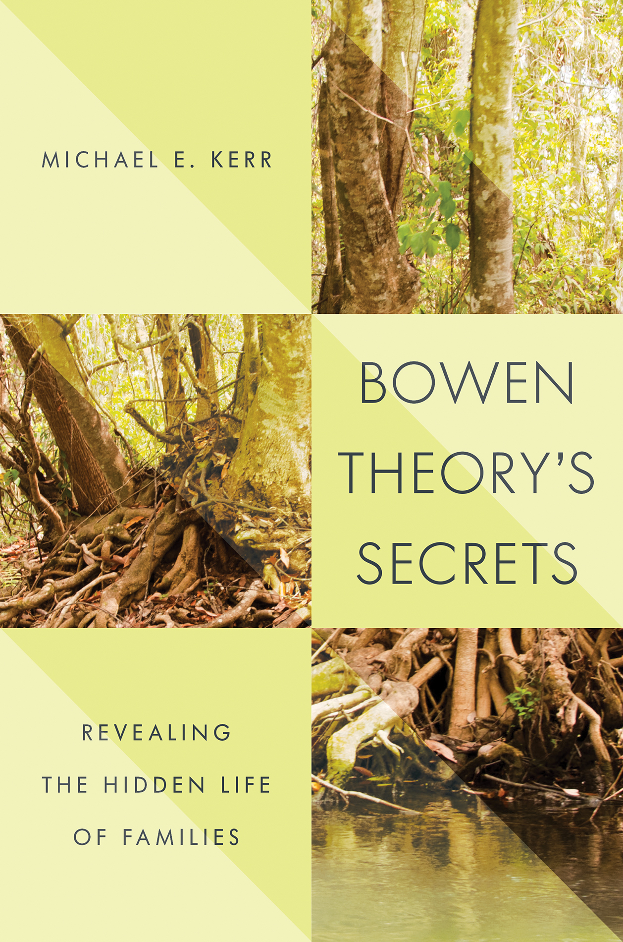 BOWEN THEORYS SECRETS BOWEN THEORYS SECRETS Revealing the Hidden Life of - photo 1