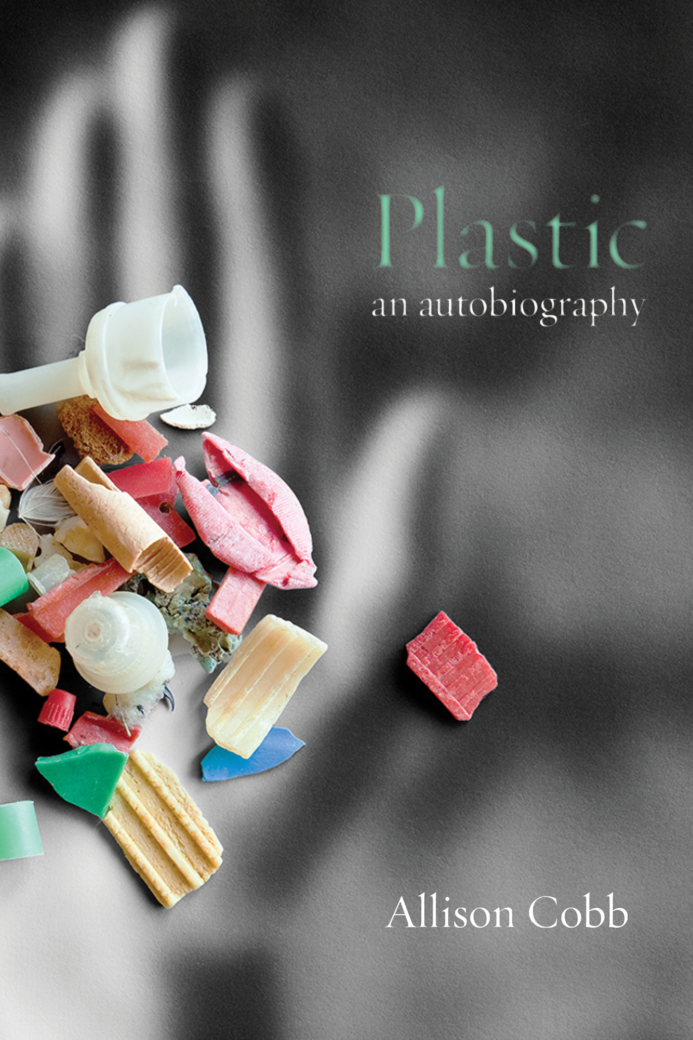 PLASTIC PLASTIC AN AUTOBIOGRAPHY ALLISON COBB Nightboat Books New York - photo 1