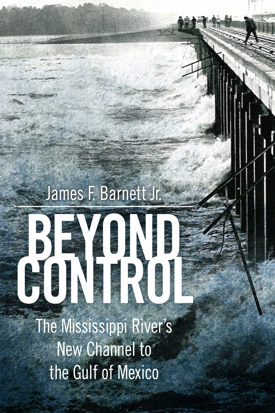 Beyond Control Carl A Brasseaux and Donald W Davis series editors BEYOND - photo 1