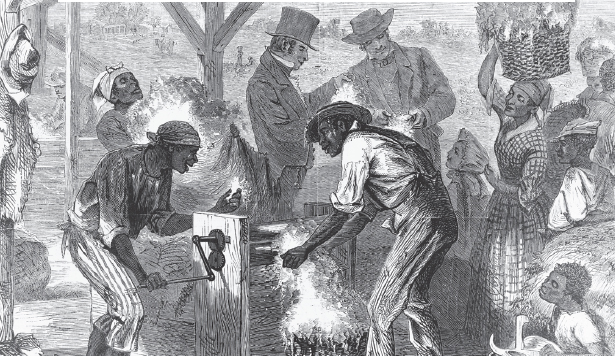 In 1790 the US census reported 697897 slaves In 1810 there were 12 million - photo 7