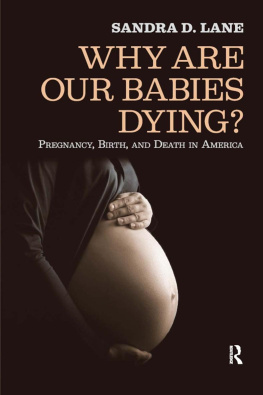 Sandra Lane - Why Are Our Babies Dying?: Pregnancy, Birth, and Death in America