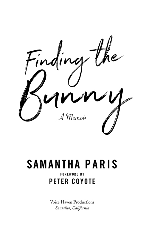 Finding the Bunny The secrets of Americas most influential and invisible art revealed through the struggles of one womans journey - image 1