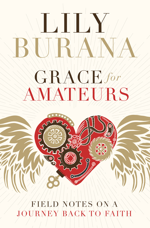 PRAISE FOR GRACE FOR AMATEURS Grace for Amateurs is that rare Christian book - photo 1