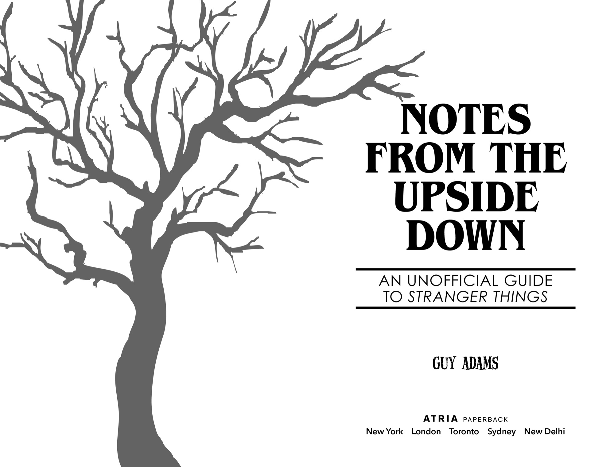 Notes from the Upside Down An Unofficial Guide to Stranger Things - image 1